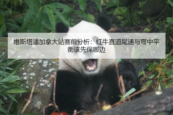 维斯塔潘加拿大站赛前分析：红牛直道尾速与弯中平衡该先保哪边