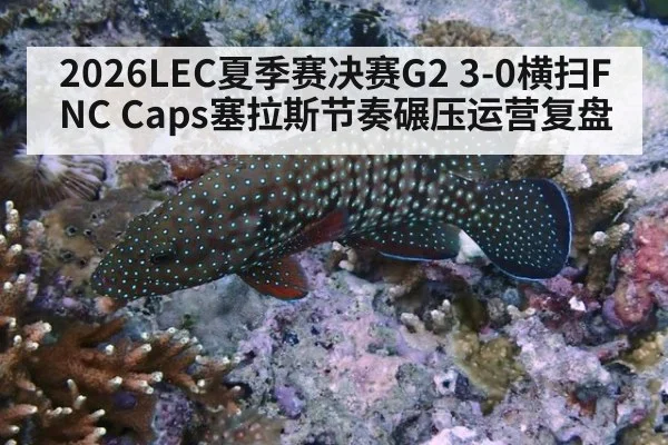 2026LEC夏季赛决赛G2 3-0横扫FNC Caps塞拉斯节奏碾压运营复盘