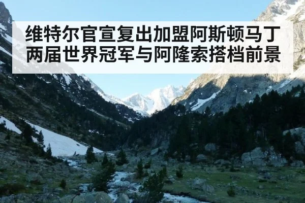 维特尔官宣复出加盟阿斯顿马丁 两届世界冠军与阿隆索搭档前景